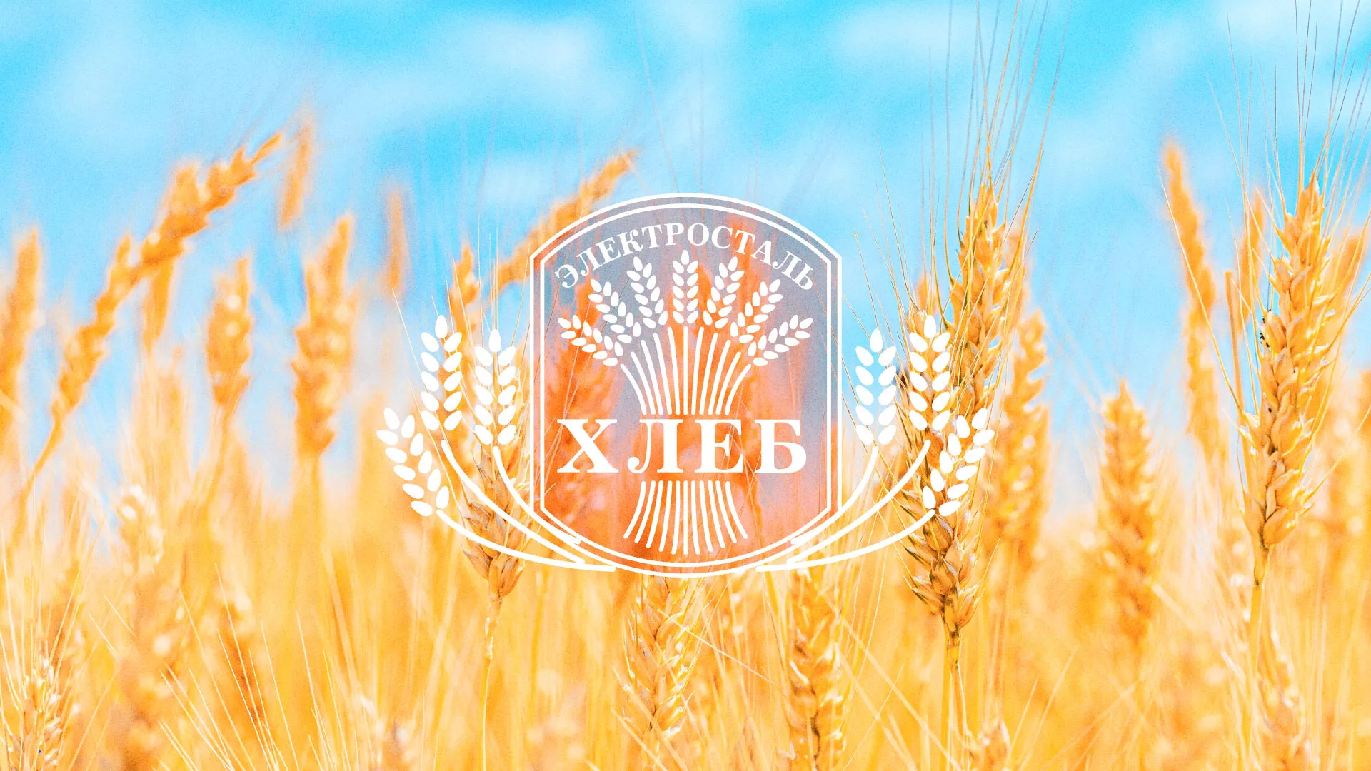 Создание сайта для хлебзавода в Кашине