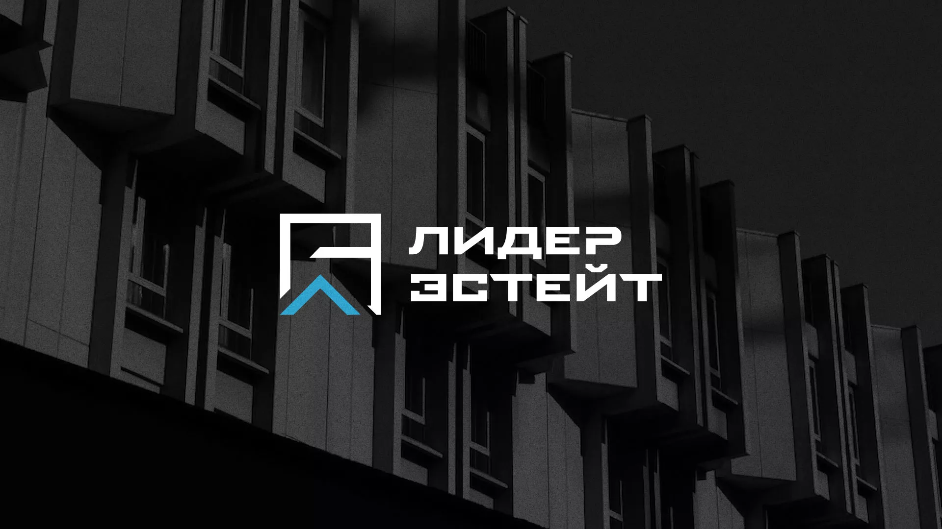 Разработка логотипа агентства недвижимости «Лидер Эстейт» в Кашине